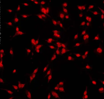 1652262459528398.png 1.png