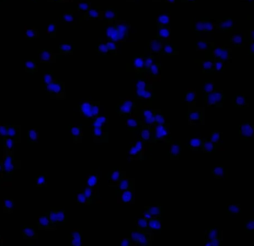 1652262611413264.png 1.png