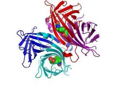 1652435087781013.png image.png