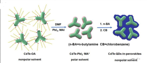 CdTe量子点负载柔红霉素/藤黄酸 CdTe量子点负载柔红霉素/藤黄酸