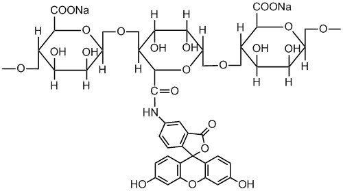 FITC-Alginate FITC-Alginate