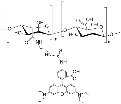 Rhodamine-Alginate Rhodamine-Alginate
