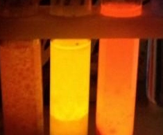 Cy5菁染料标记海藻酸钠 Cy5菁染料标记海藻酸钠