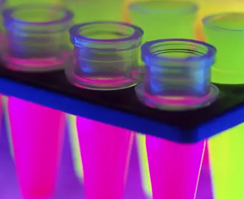 Cy3菁染料标记壳聚糖 Cy3菁染料标记壳聚糖