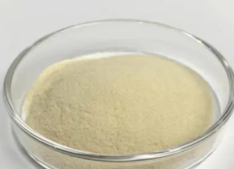 聚已内酯共聚壳聚糖 聚已内酯共聚壳聚糖