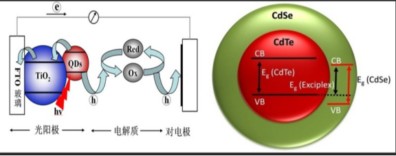CdTe近红外发光量子点标记黄曲霉毒素B1,赭曲霉毒素A CdTe近红外发光量子点标记黄曲霉毒素B1,赭曲霉毒素A
