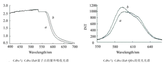 聚丙烯酸包覆CdSe/ZnS(碲化镉/硫化硒锌)量子点偶联人IgG蛋白分子 聚丙烯酸包覆CdSe/ZnS(碲化镉/硫化硒锌)量子点偶联人IgG蛋白分子