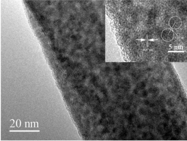 碲化镉CdTe量子点偶联穿膜肽 碲化镉CdTe量子点偶联穿膜肽