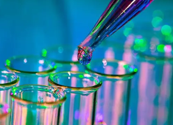 叶酸靶向包载ICG的磷脂纳米颗粒 叶酸靶向包载ICG的磷脂纳米颗粒