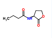 cy7荧光标记丁酰高丝氨酸内酯 cy7荧光标记丁酰高丝氨酸内酯