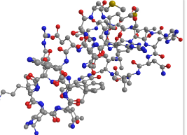 FITC荧光标记L-SP5L构型线性多肽