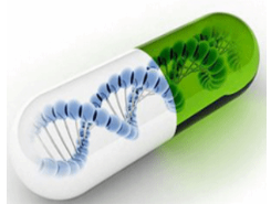  荧光标记DGRKRRRRRRRRPra-NH2