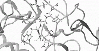 DOTA-c(RGDyK) DOTA-c(RGDyK)