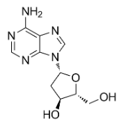 荧光标记2’-脱氧腺苷