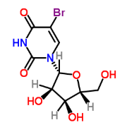 荧光标记5-溴尿苷 荧光标记5-溴尿苷