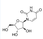cy3荧光标记阿糖尿苷