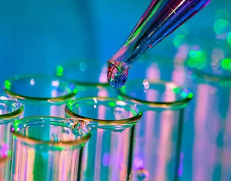 胰蛋白酶1:2500 胰蛋白酶1:2500