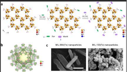Fe-MIL-88包裹氯化血红素(Hemin) Fe-MIL-88包裹氯化血红素(Hemin)