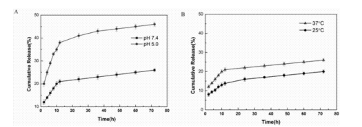 菁染料CY3/CY7/CY5.5荧光标记叶酸脂质体 菁染料CY3/CY7/CY5.5荧光标记叶酸脂质体