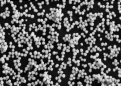 1658216525670635.png image.png