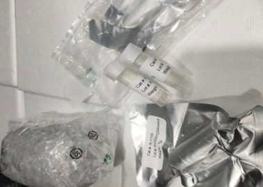 DBCO-PEG4-vc-PAB-(PEG2)-Duocarmycin TM