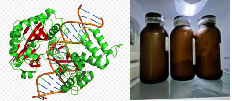 DNA修饰UiO-66-NH2薄膜 DNA修饰UiO-66-NH2薄膜