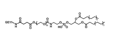 GE11-PEG-DSPE