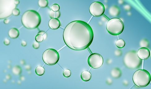 Cy5.5标记大豆凝集素(SBA) Cy5.5标记大豆凝集素(SBA)