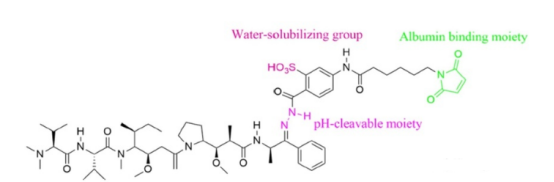 RGD-HSA-DOX RGD-HSA-DOX