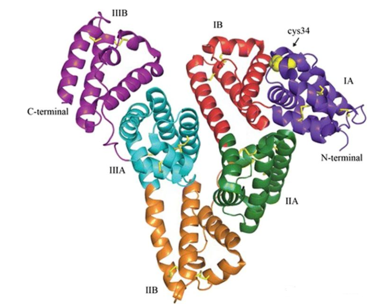 PEG聚乙二醇和生物活性多肽修饰的龙葵碱白蛋白纳米粒 PEG聚乙二醇和生物活性多肽修饰的龙葵碱白蛋白纳米粒
