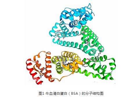 叶酸偶联米托蒽醌牛血清白蛋白纳米粒