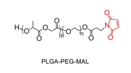 Mal-PEG-PLGA Mal-PEG-PLGA