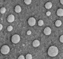 碘油纳米乳 碘油纳米乳