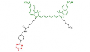 Methyltrazine-Disulfo-ICG