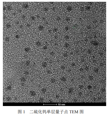 WS2单层量子点溶液 WS2单层量子点溶液