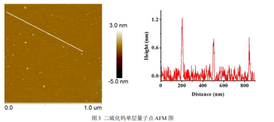 WS2单层量子点溶液 WS2单层量子点溶液