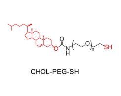 CLS-PEG-SH CLS-PEG-SH