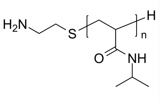 PNIPAM-NH2 PNIPAM-NH2