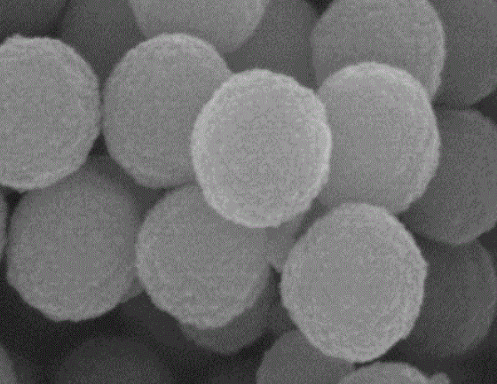 硅基磁珠 硅基磁珠