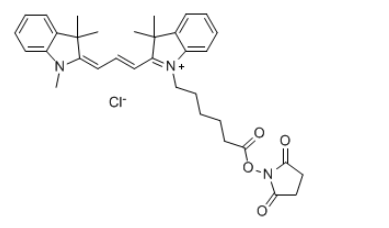 脂溶性Cyanine3 NHS 脂溶性Cyanine3 NHS