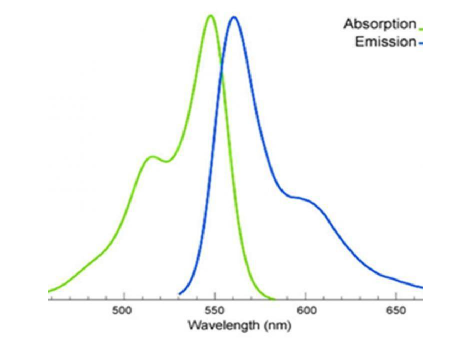 Sulfo CY5-MAL Sulfo CY5-MAL