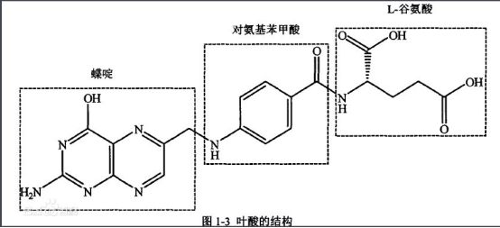 喜树碱-聚乙二醇-叶酸 喜树碱-聚乙二醇-叶酸