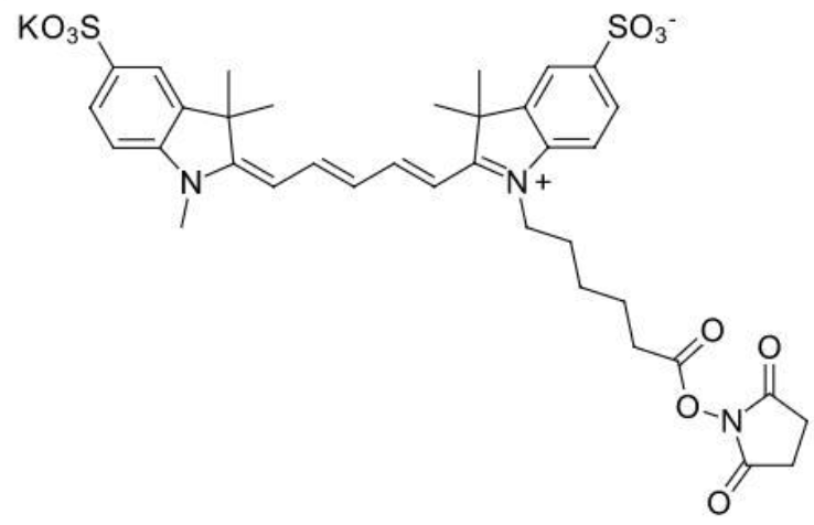 1675825007188274.png 1.png