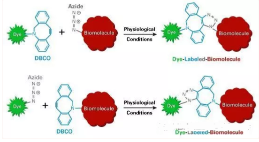 甲硝唑-聚乙二醇-二苯基环辛炔