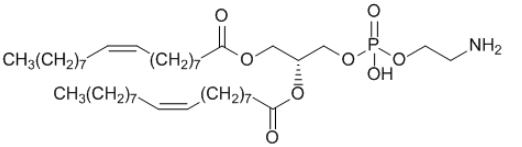 甲硝唑-聚乙二醇-二油酰基磷脂酰乙醇胺 甲硝唑-聚乙二醇-二油酰基磷脂酰乙醇胺