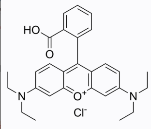 雷替曲塞-聚乙二醇-罗丹明B 