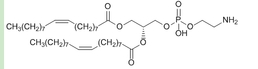 Raltitrexed-PEG-DOPE