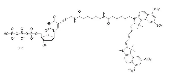 Sulfo-Cyanine5 dUTP，水溶性Cy染料，一种改良的核苷三磷酸，用于DNA酶标记