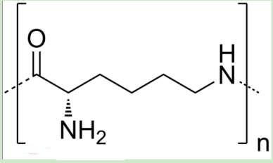 阿奇霉素-聚乙二醇-聚赖氨酸 