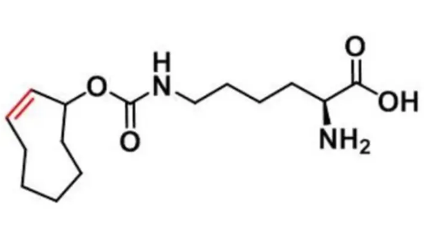 cas：1580501-94-5，N-(2E)-TCO-L-lysine，分子量，分子式，纯度 介绍--西安pg电子娱乐游戏app
生物